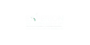 Experion Developers